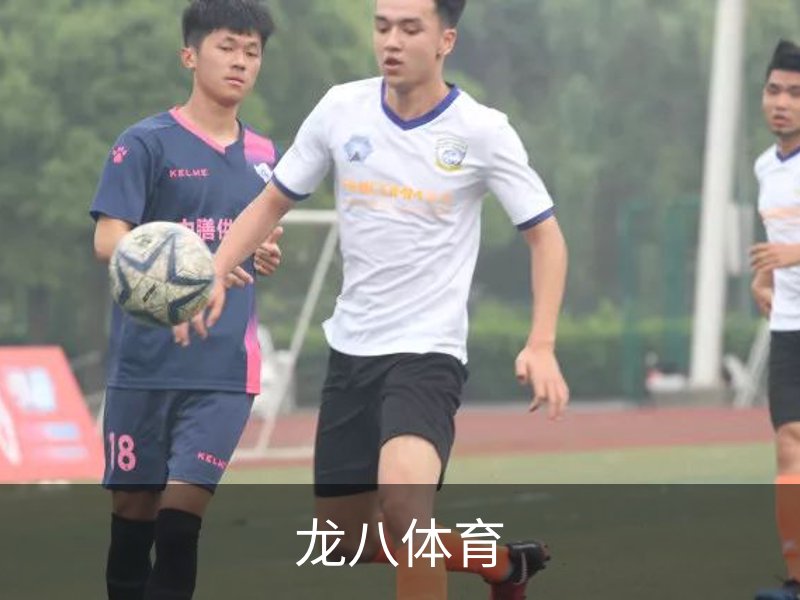 龙八体育简介
